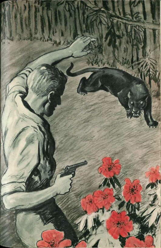 Description: C:\Web Sites\04 Biggles Info\Details\35\Illustrations\Page114.jpg