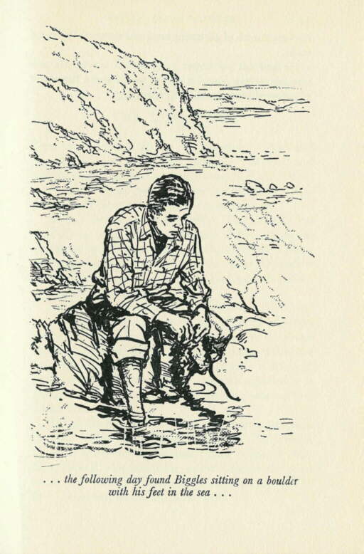 Description: C:\Web Sites\04 Biggles Info\Details\71\Illustrations\Page13.jpg