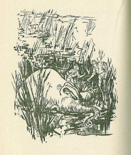 Description: C:\Web Sites\04 Biggles Info\Details\41\Illustrations\Page154.jpg