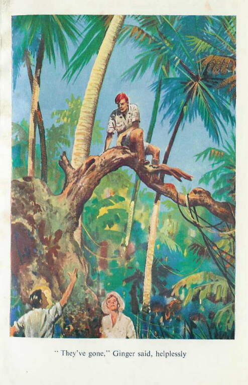 Description: C:\Web Sites\04 Biggles Info\Details\61\Illustrations\Page160.jpg