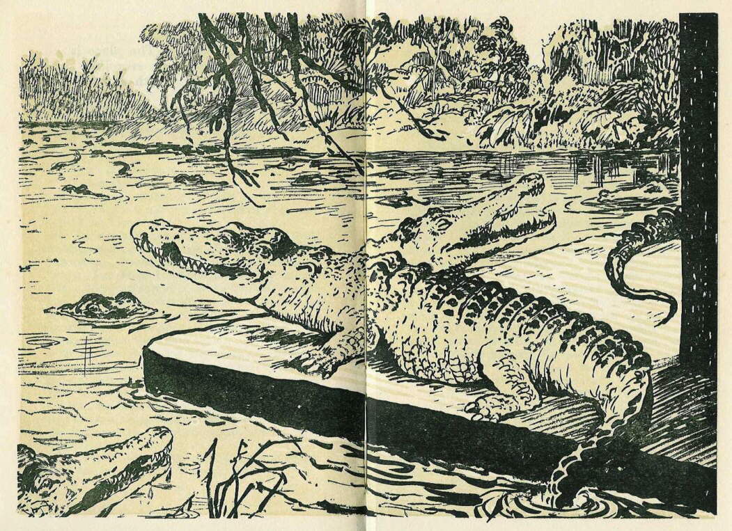 Description: C:\Web Sites\04 Biggles Info\Details\34\Illustrations\Page172.jpg