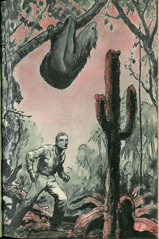 Description: C:\Web Sites\04 Biggles Info\Details\35\Illustrations\Page18.jpg