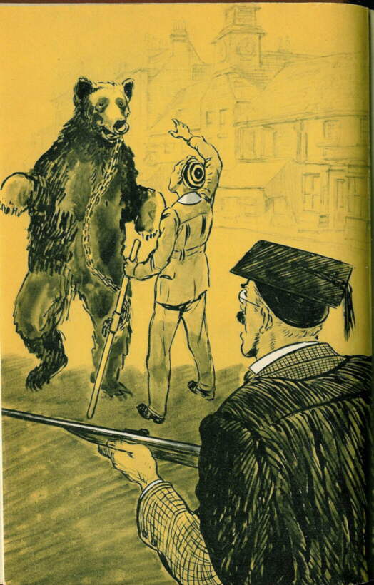 Description: C:\Web Sites\04 Biggles Info\Details\39\Illustrations\Page39.jpg