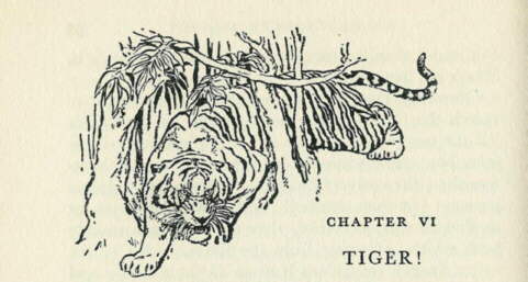 Description: C:\Web Sites\04 Biggles Info\Details\67\Illustrations\Page54.jpg