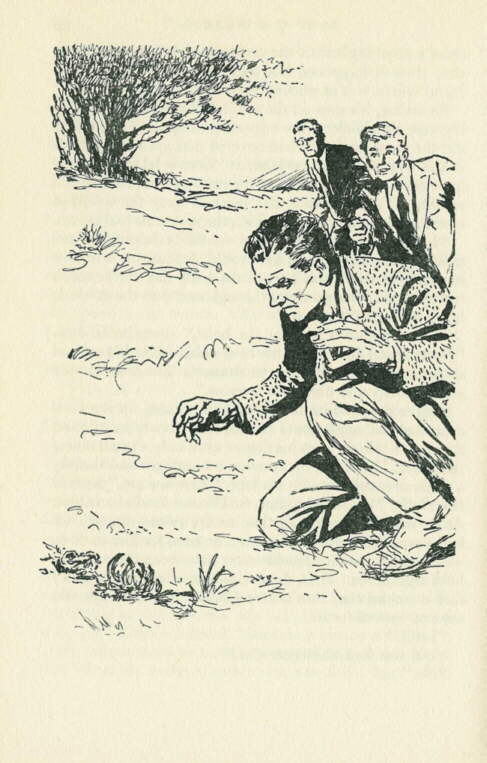 Description: C:\Web Sites\04 Biggles Info\Details\73\Illustrations\Page54.jpg