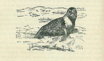 Description: C:\Web Sites\04 Biggles Info\Details\36\Illustrations\Page60.jpg