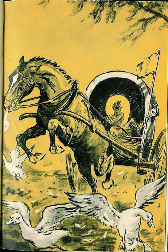 Description: C:\Web Sites\04 Biggles Info\Details\39\Illustrations\Page62.jpg