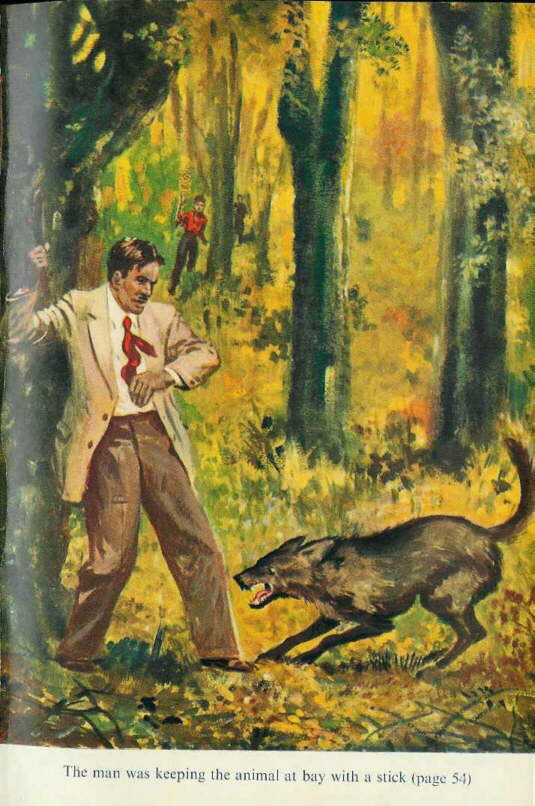 Description: C:\Web Sites\04 Biggles Info\Details\60\Illustrations\Page64.jpg