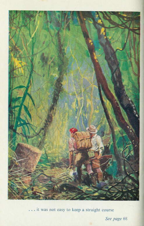 Description: C:\Web Sites\04 Biggles Info\Details\61\Illustrations\Page65.jpg