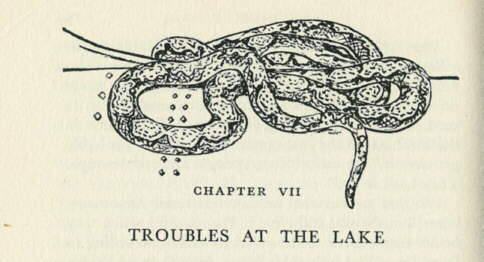 Description: C:\Web Sites\04 Biggles Info\Details\67\Illustrations\Page66.jpg