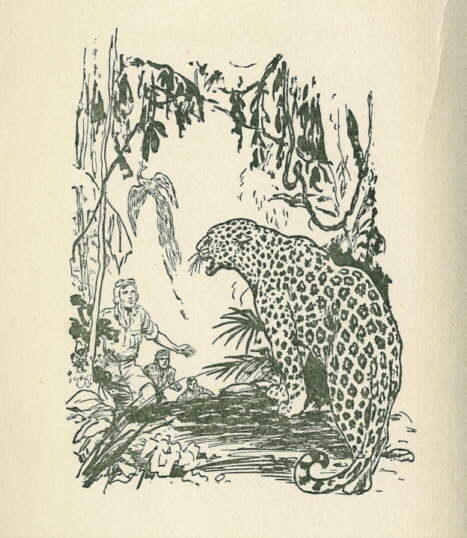 Description: C:\Web Sites\04 Biggles Info\Details\41\Illustrations\Page8.jpg