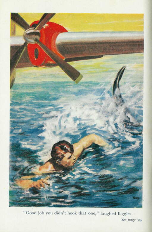 Description: C:\Web Sites\04 Biggles Info\Details\64\Illustrations\Page81.jpg