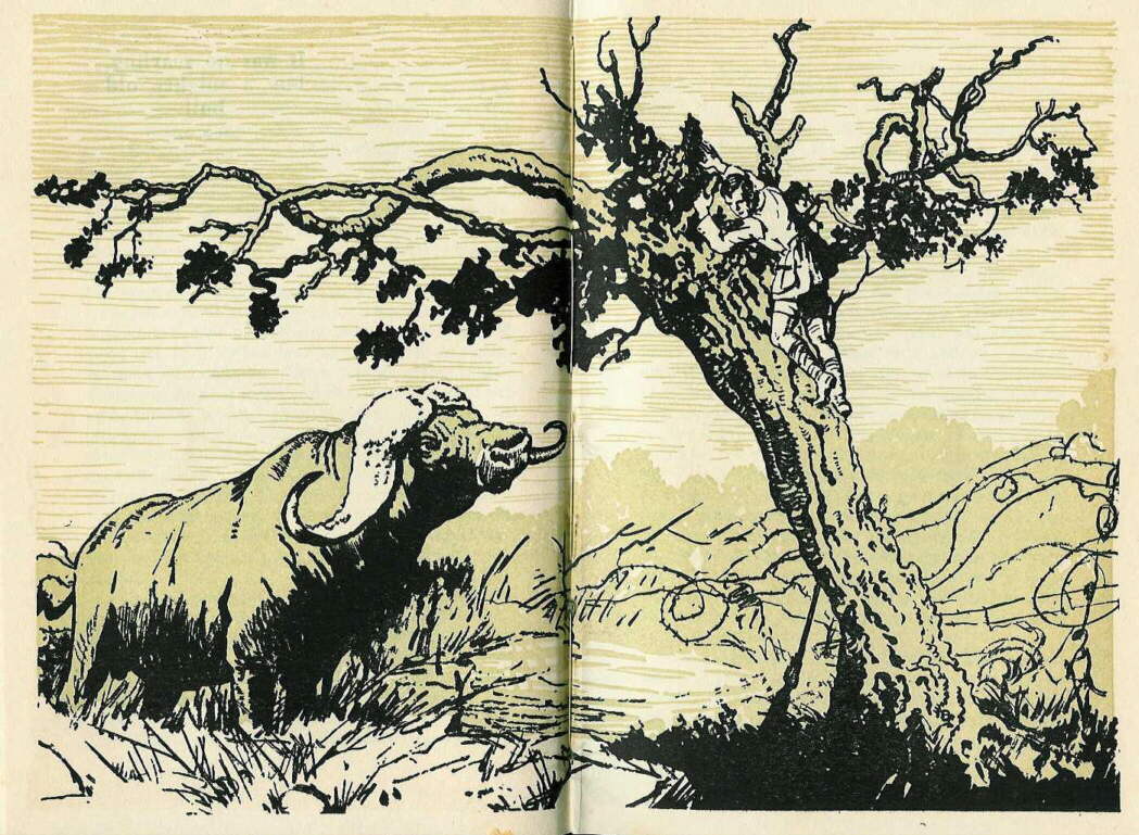 Description: C:\Web Sites\04 Biggles Info\Details\34\Illustrations\Page92.jpg