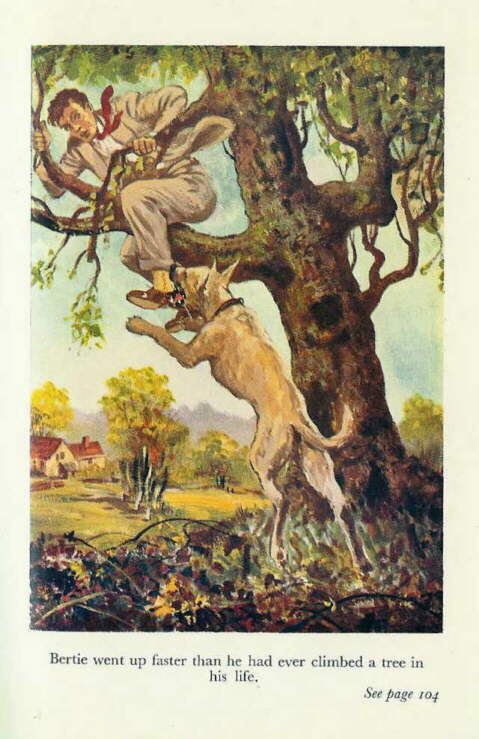 Description: C:\Web Sites\04 Biggles Info\Details\59\Illustrations\Page96.jpg