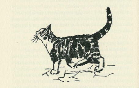 Description: C:\Web Sites\04 Biggles Info\Details\71\Illustrations\Page96.jpg