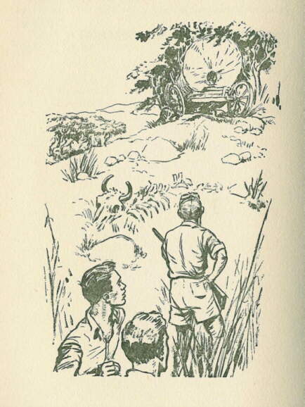 Description: C:\Web Sites\04 Biggles Info\Details\41\Illustrations\Page96.jpg