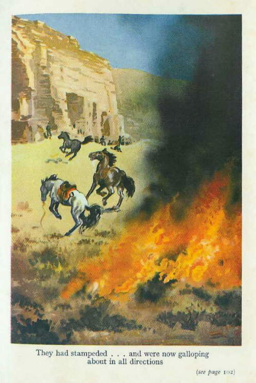 Description: C:\Web Sites\04 Biggles Info\Details\46\Illustrations\Page96.jpg