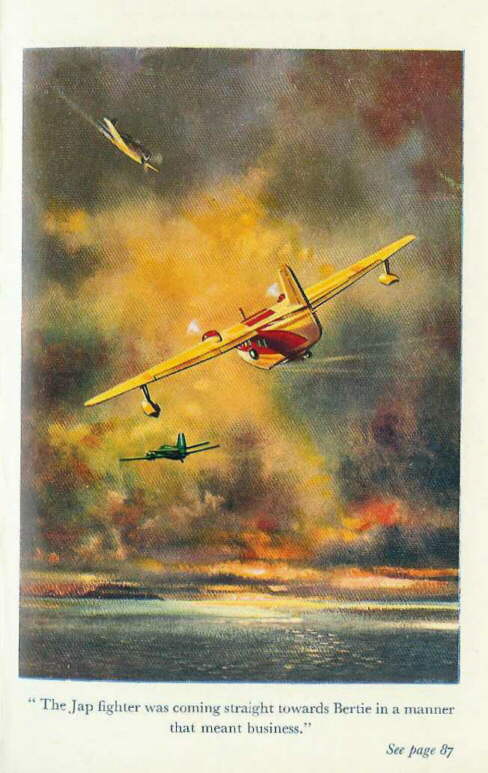 Description: C:\Web Sites\04 Biggles Info\Details\57\Illustrations\Page96.jpg