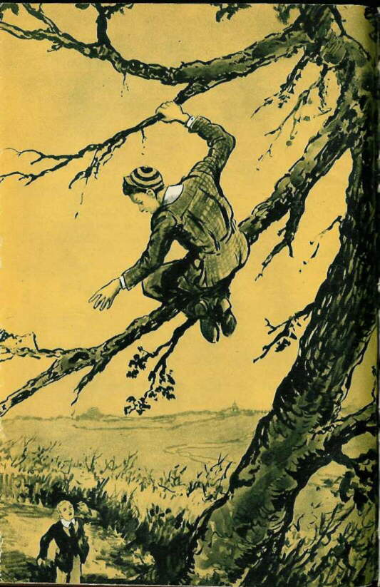 Description: C:\Web Sites\04 Biggles Info\Details\39\Illustrations\Page99.jpg