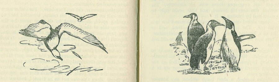 Description: C:\Web Sites\04 Biggles Info\Details\36\Illustrations\Pages46and47.jpg